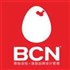 BCN品牌设计管理