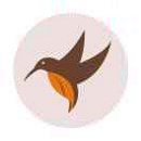 啄木鸟--品牌设计