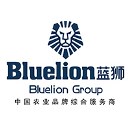 蓝狮智邦（北京）品牌策划