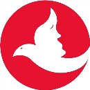 新兰07
