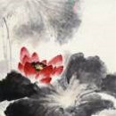 鳳鳴朝陽(yáng)    13629189216
