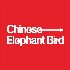 Chinese-ElephantBrid