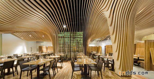 木质流畅的韵律：波士顿Banq餐厅前卫设计