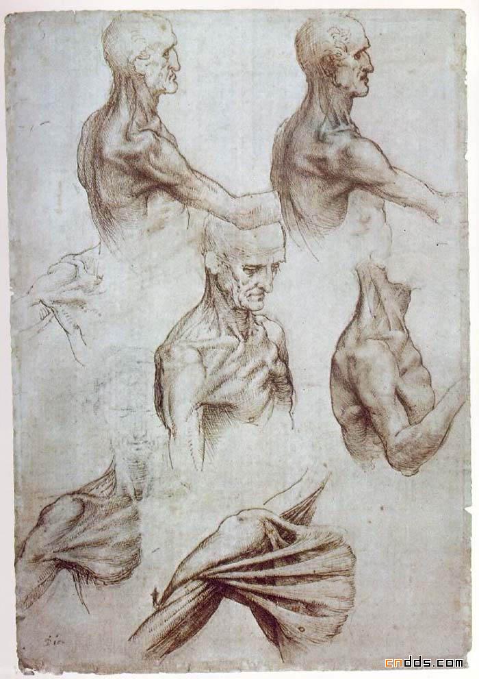 达芬奇（1452-1519）作品欣赏