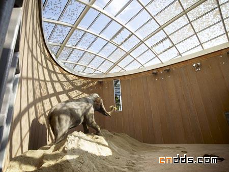 Copenhagen動物園大象館舍設(shè)計