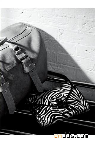摩登先锋，Kate Moss for Longchamp 斑马纹包款