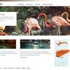 巴哈马(Bahamas)旅游WEB界面设计
