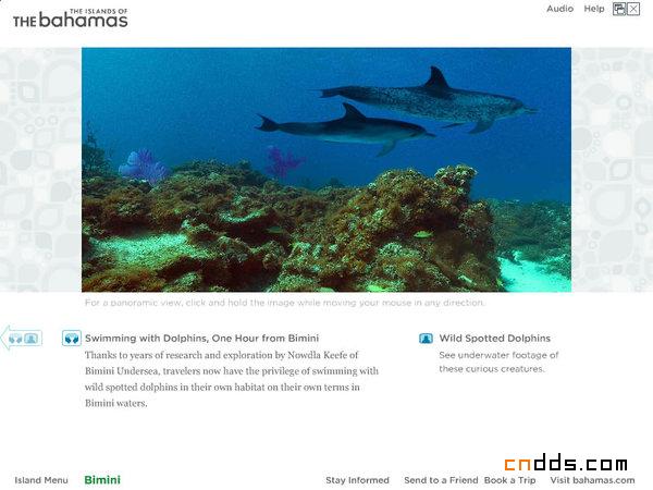 巴哈馬(Bahamas)旅游WEB界面設計