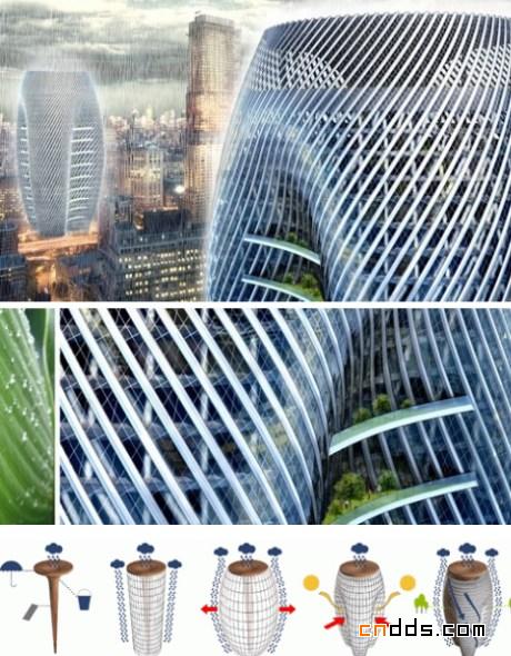 匪夷所思的環(huán)保建筑