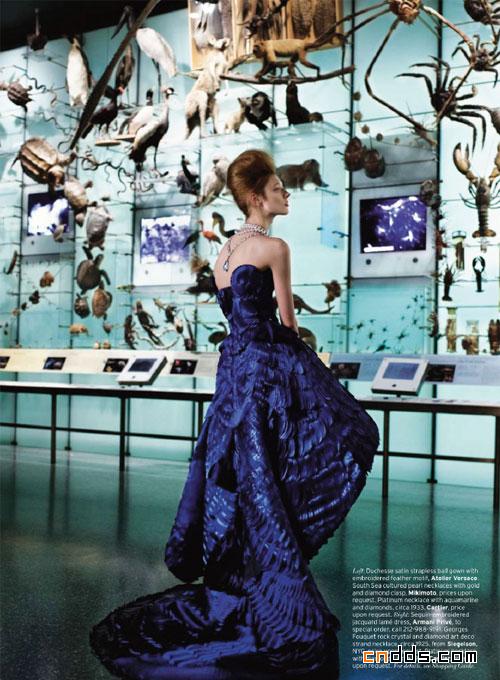 时装大片：美国自然博物馆的华丽之夜