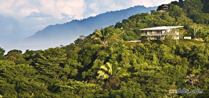 热带丛林中的住宅设计