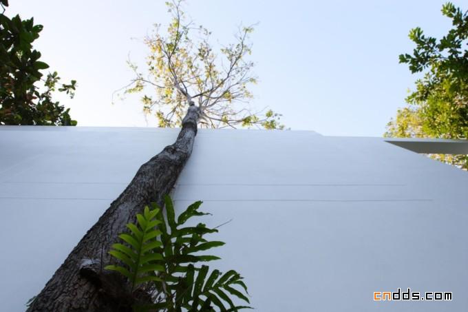 泰國蘇梅島度假村圖書館