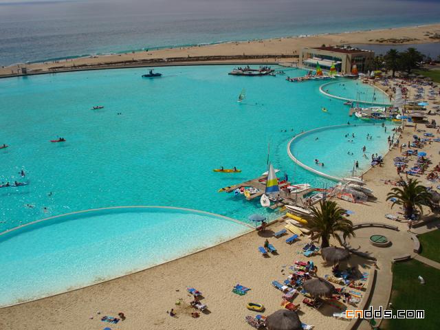 世界上最大的游泳池