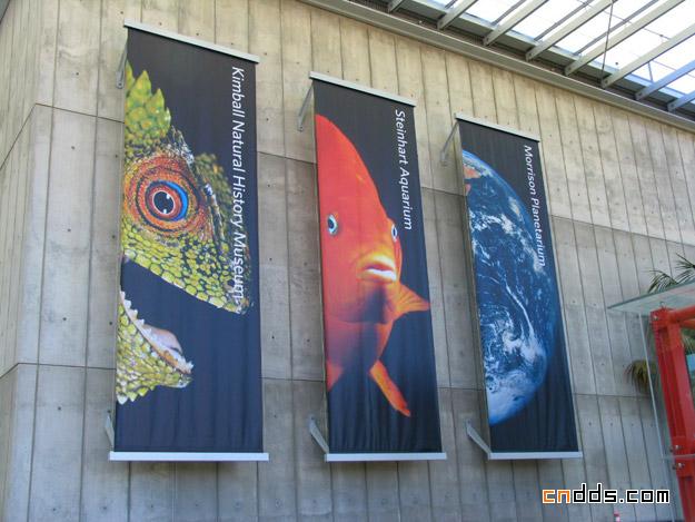 加州科学博物馆(California Academy of Sciences)视觉设计