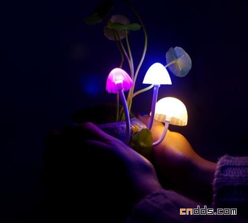 梦幻蘑菇灯