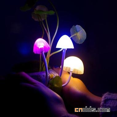 梦幻蘑菇灯