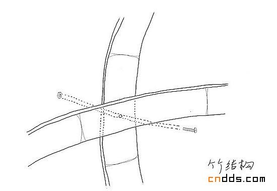 竹子“蛋形蝸居”創(chuàng)意設(shè)計過程