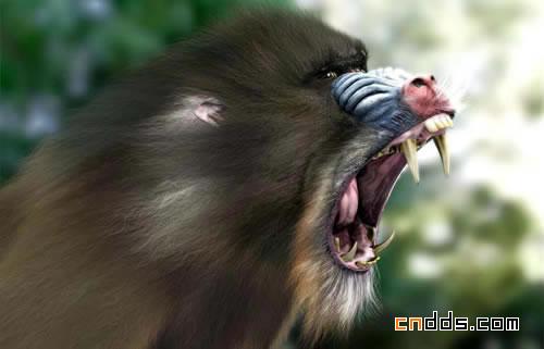 令人咂舌的超逼真3D动物作品