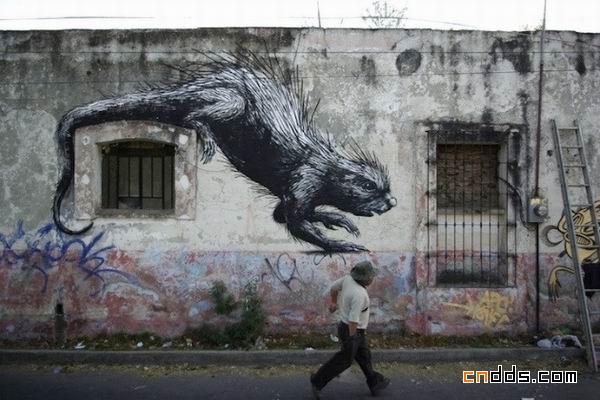 街头艺术家 ROA 在墨西哥