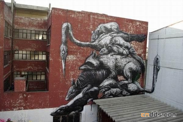 街头艺术家 ROA 在墨西哥