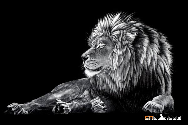 王者——动物相片级手绘