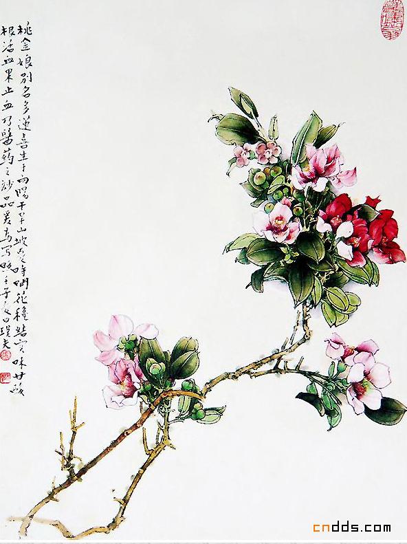 郑乃珖百花画集