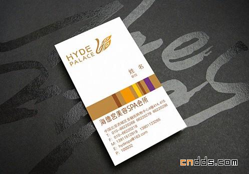 HYDE PALACE 北京海德宫SPA会所VI形象