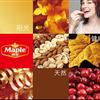 品牌形象VI设计MAPLE 嘉信“枫叶牌”