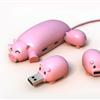 母猪喂奶”外接多接口USB盒