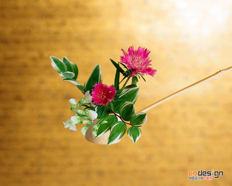 室内鲜花装饰欣赏