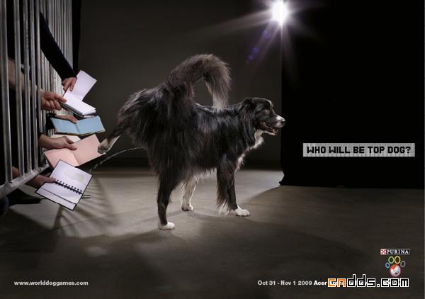 16个有狗狗参与的创意平面广告
