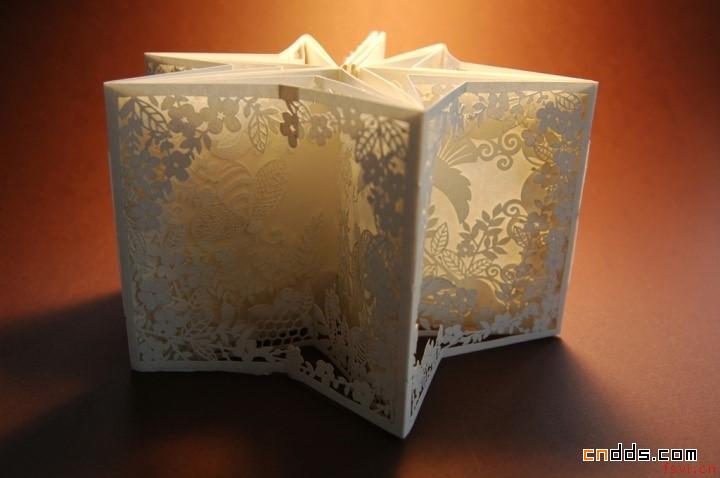 加拿大艺术家Sara Burgess的纸艺作品