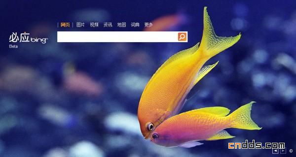 2011七夕节各大搜索引擎Logo一览