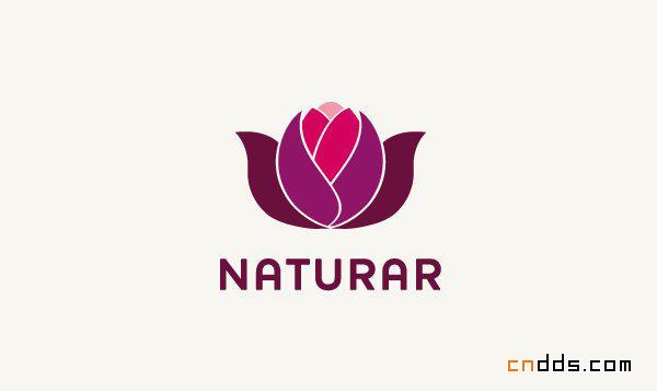NATURAR食品蔬菜企业品牌设计