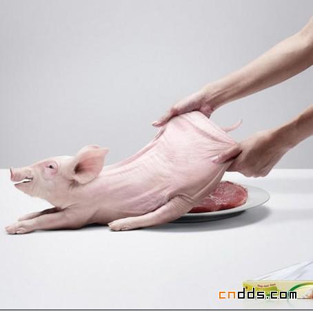 2011最新平面广告精选之动物篇