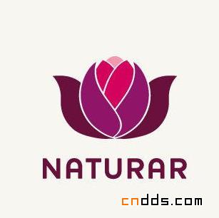 NATURAR食品蔬菜企业品牌设计