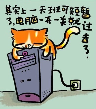 一只猫的哲学