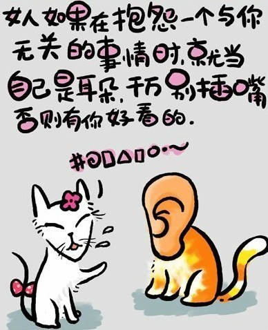 一只猫的哲学