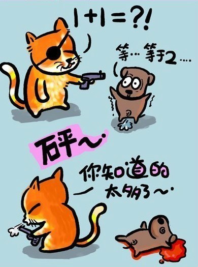 一只猫的哲学