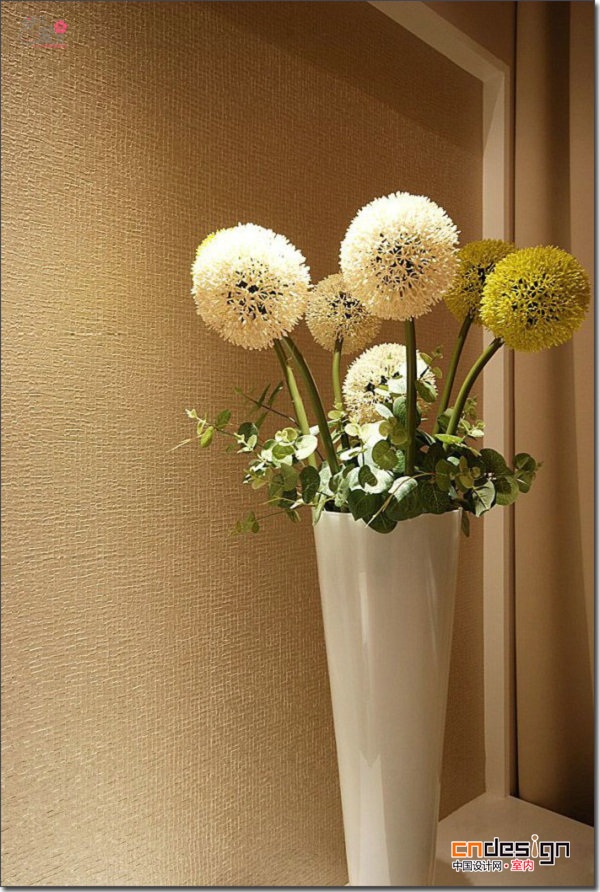 亭亭玉立的洋葱花葱球室内装饰花卉图片大全