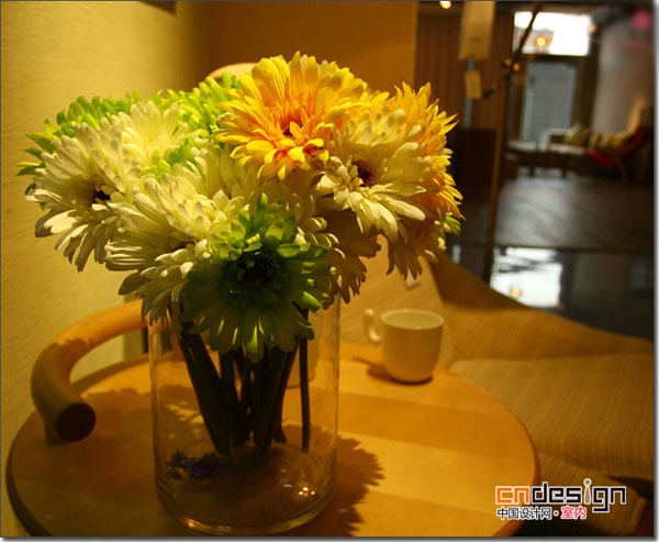 室内装饰花卉图片大全之非洲菊