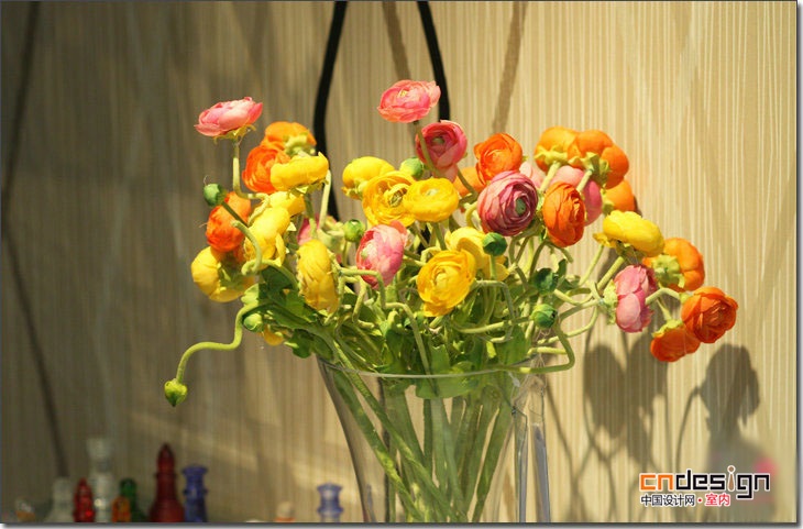 可爱的小山茶花室内装饰花卉图片大全