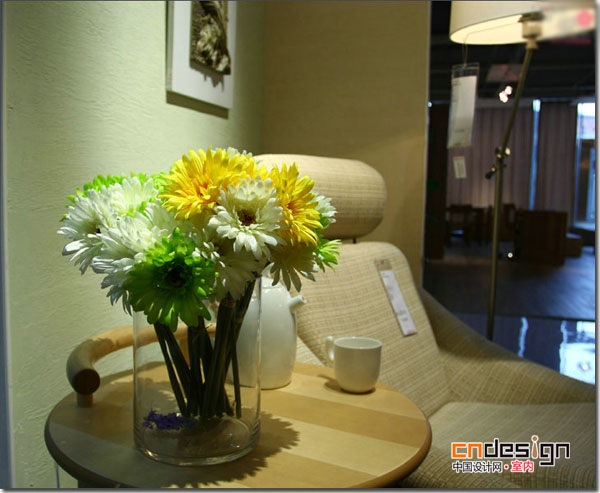 室内装饰花卉图片大全之非洲菊