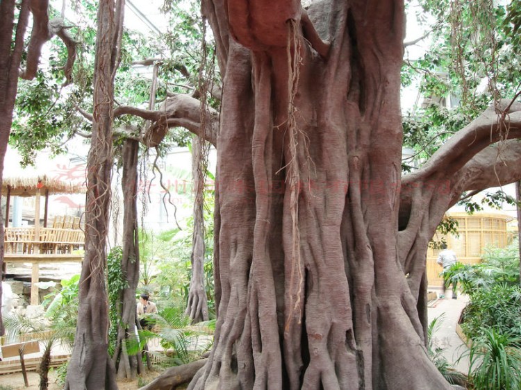 生態(tài)餐廳