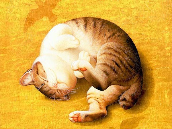 Makoto Muramatsu的萌猫插画集