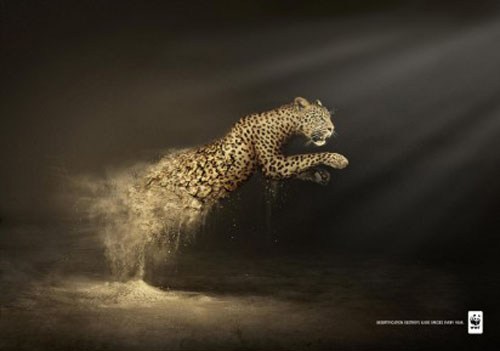 WWF 公益广告：荒漠化每年导致6000物种灭亡