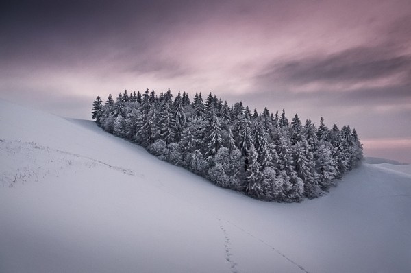 留住冬季獨特的唯美雪景攝影