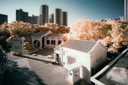 红外摄影下的梦幻秋季香港城市摄影