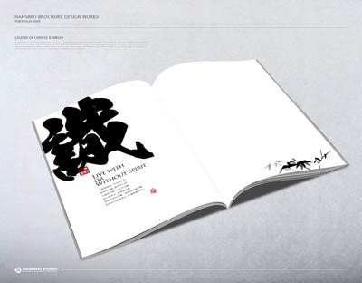中国风画册设计欣赏之：青玉枝