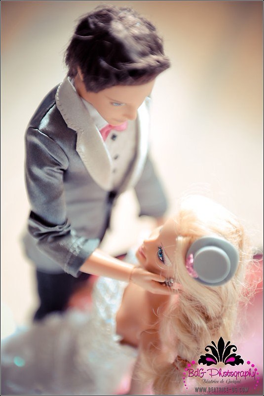 芭比娃娃与肯的婚礼~1